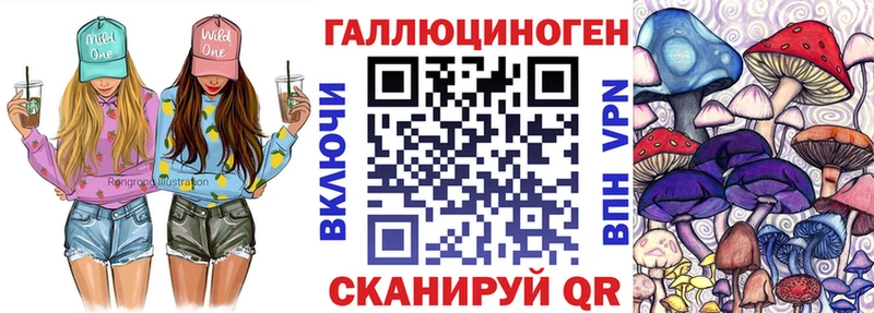 Псилоцибиновые грибы Psilocybe  ссылка на мегу как войти  Цивильск 