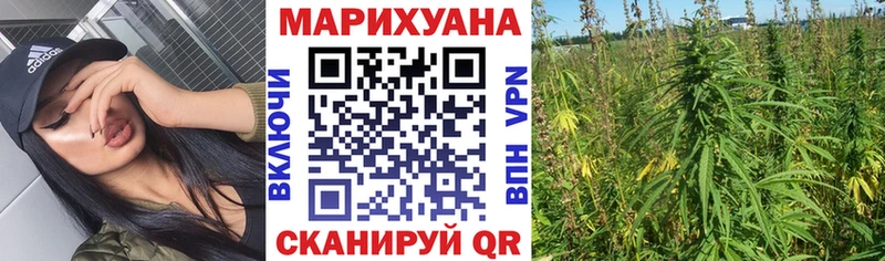 Шишки марихуана AK-47 Цивильск